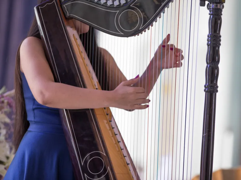 Harp