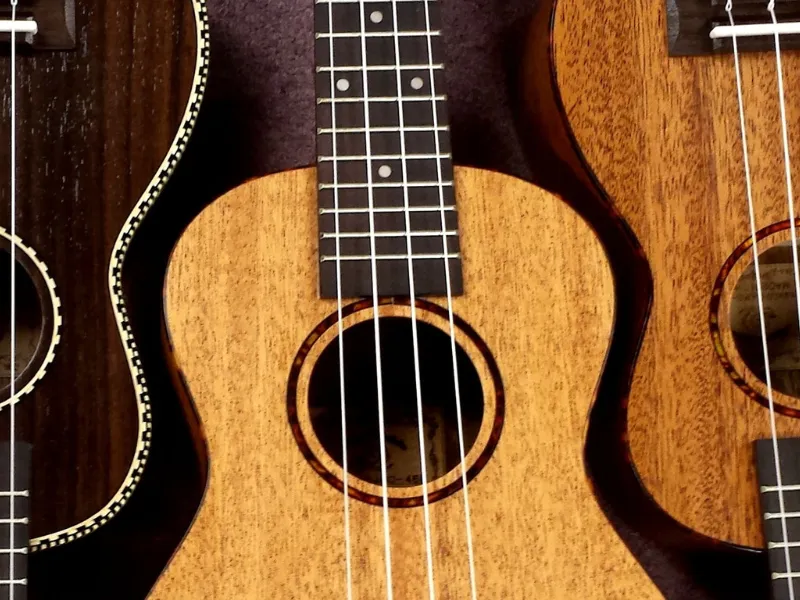 How To Choose A Ukulele: The Fast, Simple Way To Know (2023)