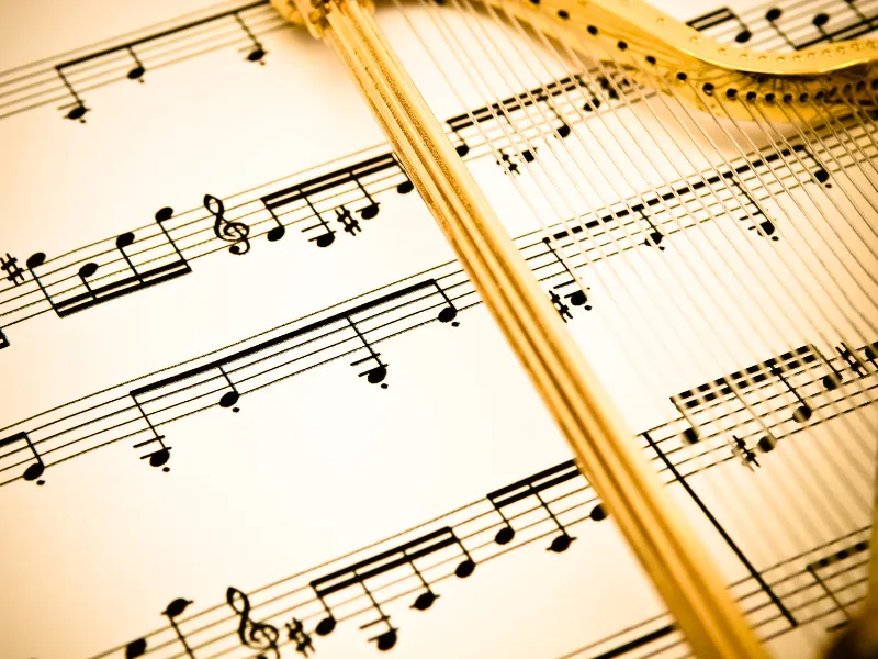 7 Best Lap Harps for Beginners - Reviews, Tuning, Tips, and More!