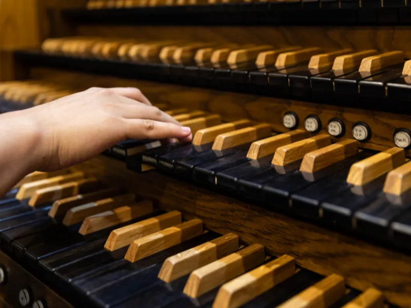 Organ