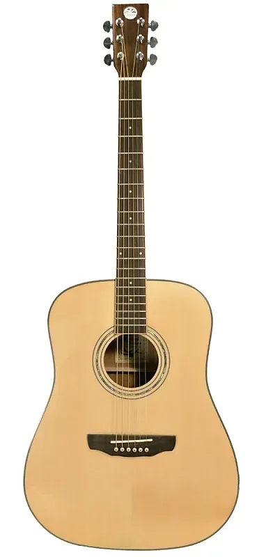 Un examen de la guitare acoustique Revival RG-27