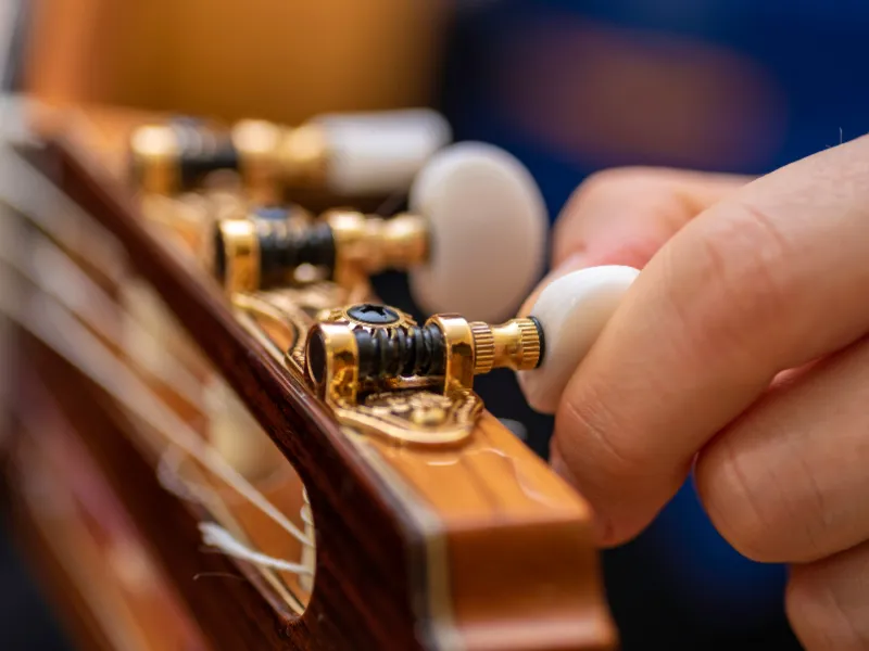 Why Snark Tuner Is The Best Performer?