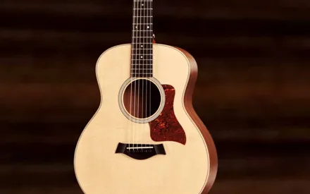 Taylor GS Mini Review - The Best Choice In 2023