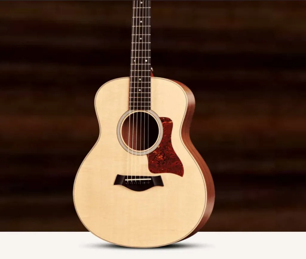 Taylor GS Mini Review - Le meilleur choix en 2023