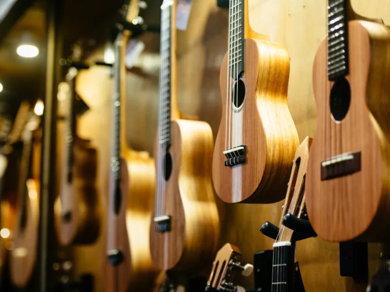 4 Best Types Of Ukuleles: How to choose the best