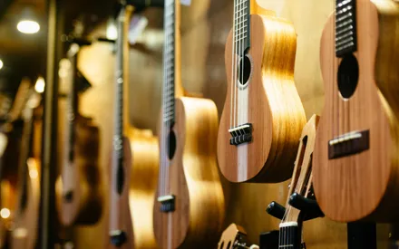 4 Best Types Of Ukuleles: How to choose the best