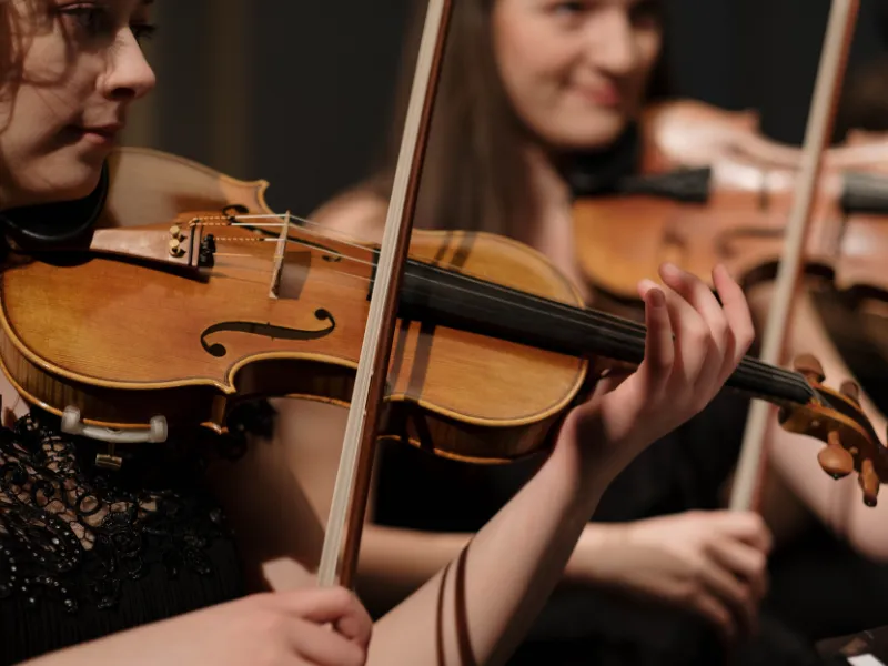 violin