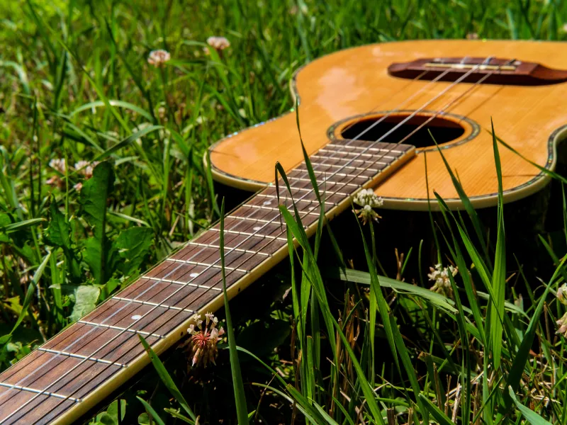 A Quick & Easy Guide On What Is A Baritone Guitar? (2023)